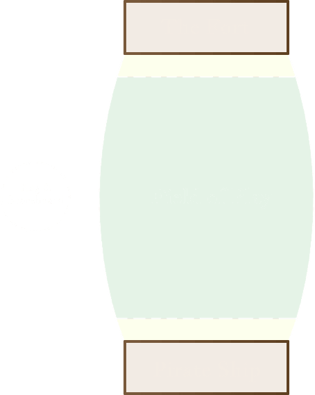 The Field of Play