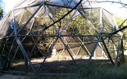 Geodesic Dome