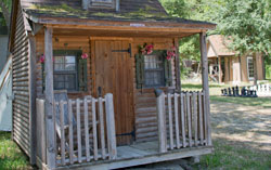 Rustic Cabin